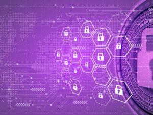 Características de Seguridad en la Publicación de Páginas Web