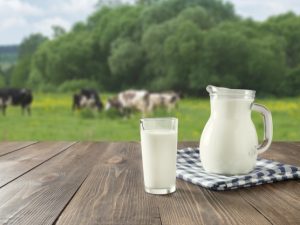 Control de calidad e incidencia ambiental en los tratamientos previos de la leche